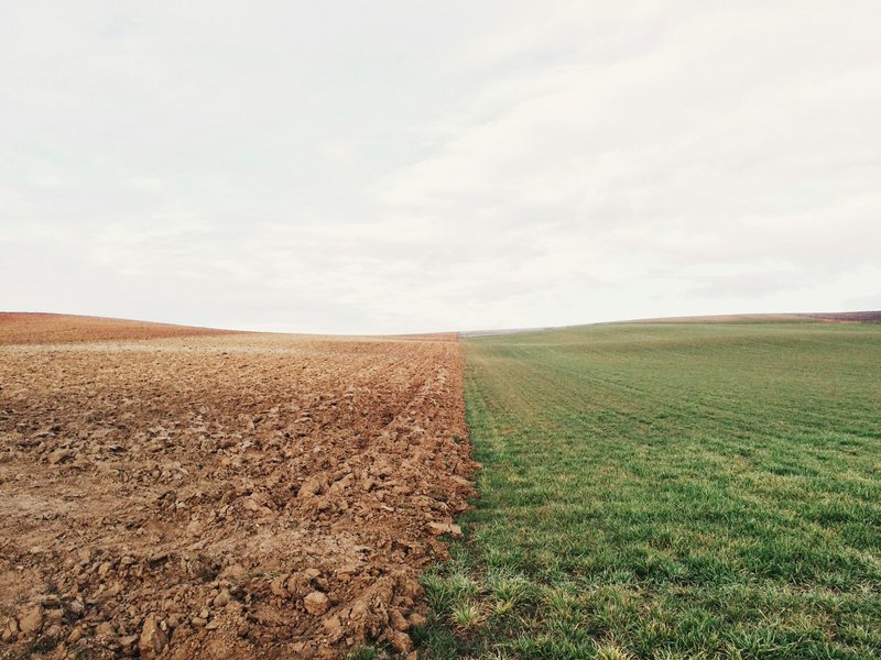 What Is the Homestead Act's Legacy in Montana Today?