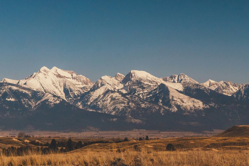 How to File for Unemployment Benefits in Montana