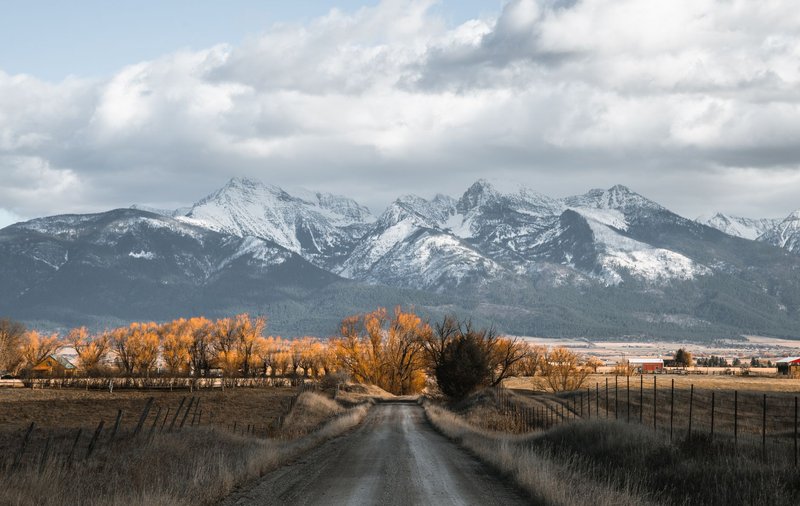 Top 10 Montana Farmers Markets to Visit This Summer