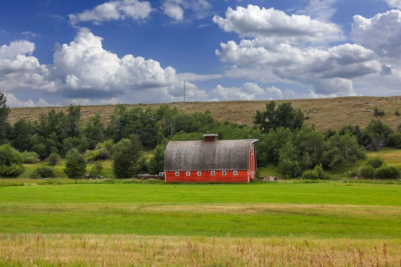 Top 10 Montana Small Businesses to Support This Year