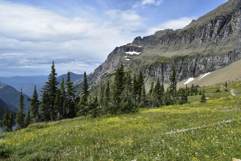 Top 10 Montana Small Businesses to Support This Year
