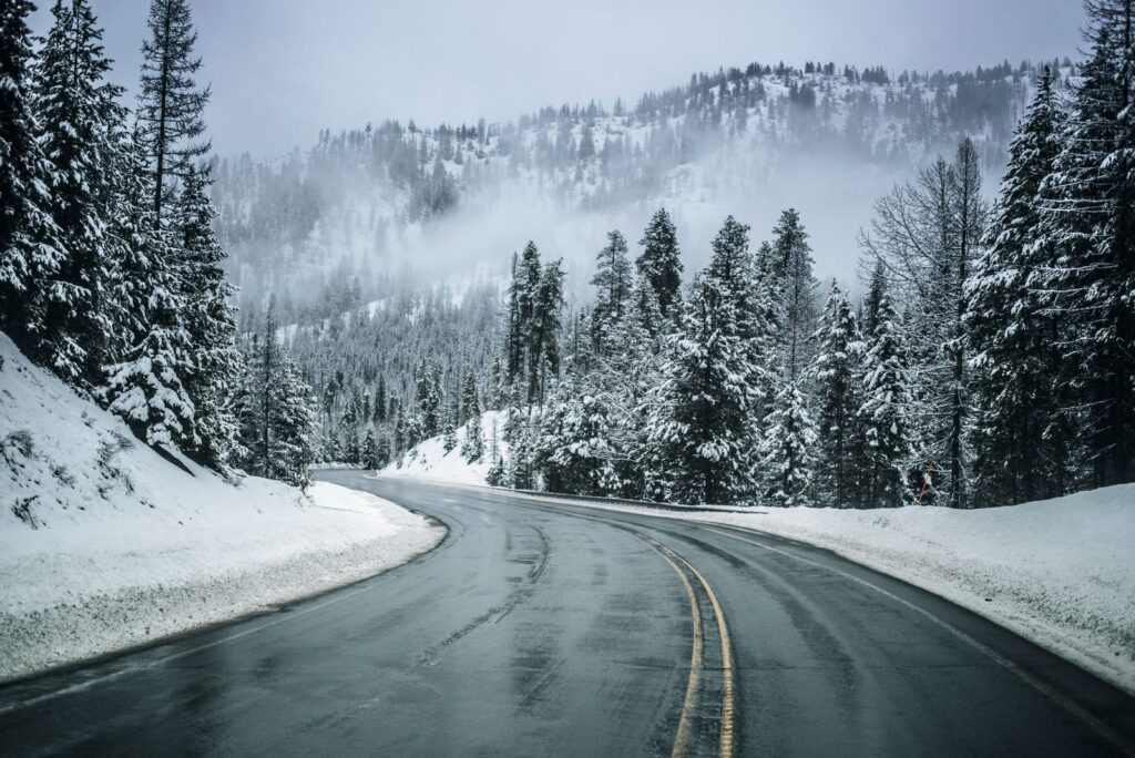 Wet two-lane road curving through snowy evergreen forest